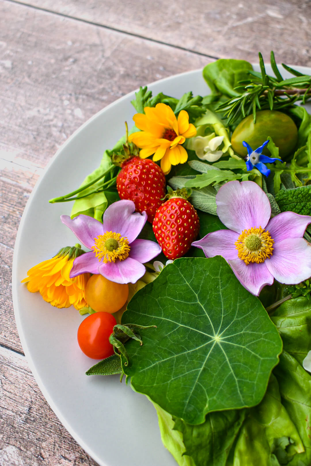 Genusskuss_Salat_Blüten_komprimiert
