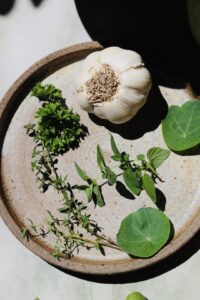 Keramikteller mit verschiedenen Kräutern wie Petersilie, Thymian, Minze und Kapuzinerkresse sowie Knoblauch
