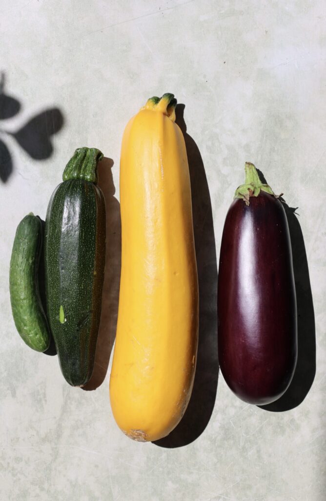 Zucchini